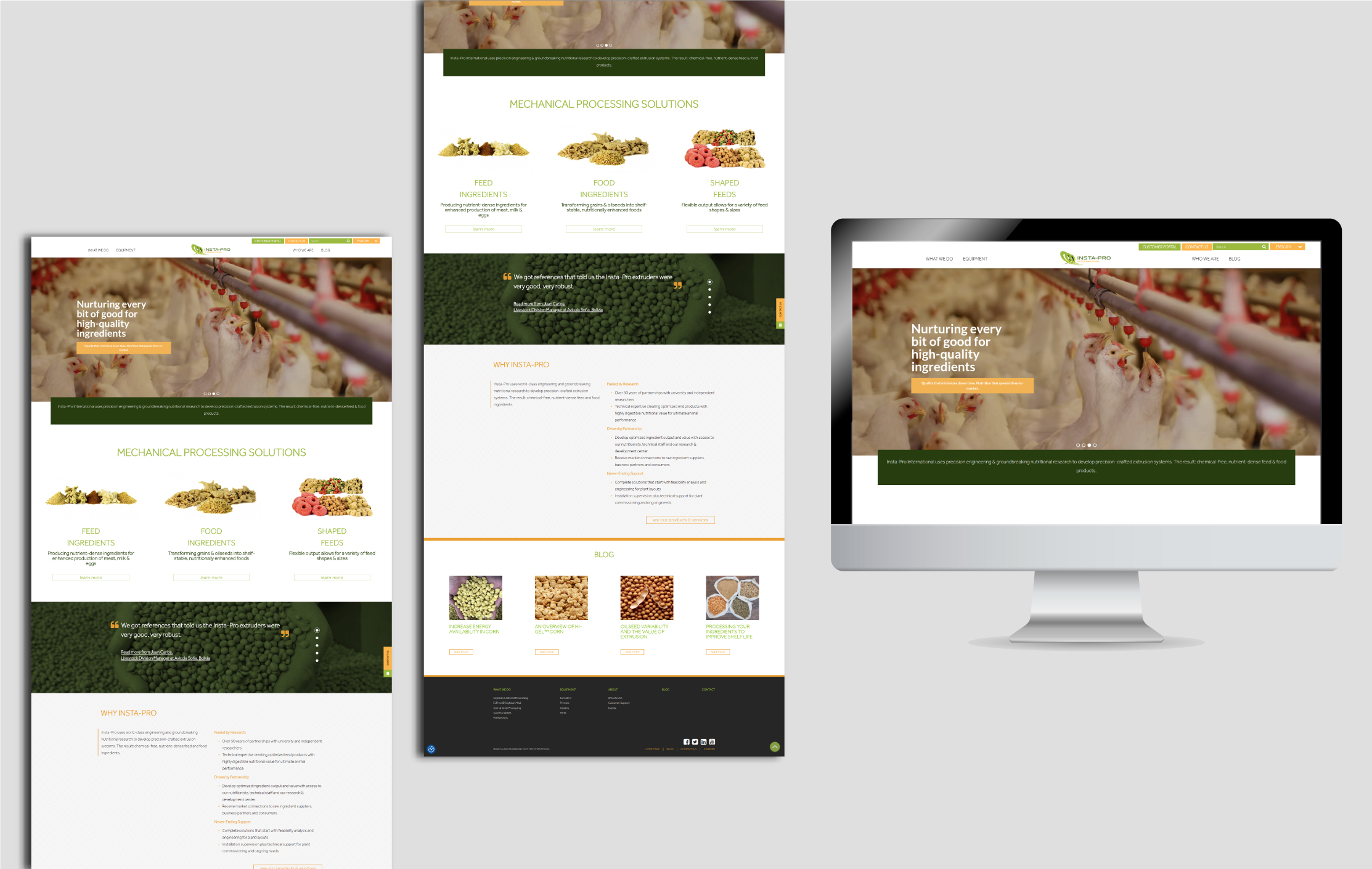 food-protien-website-design-mockups